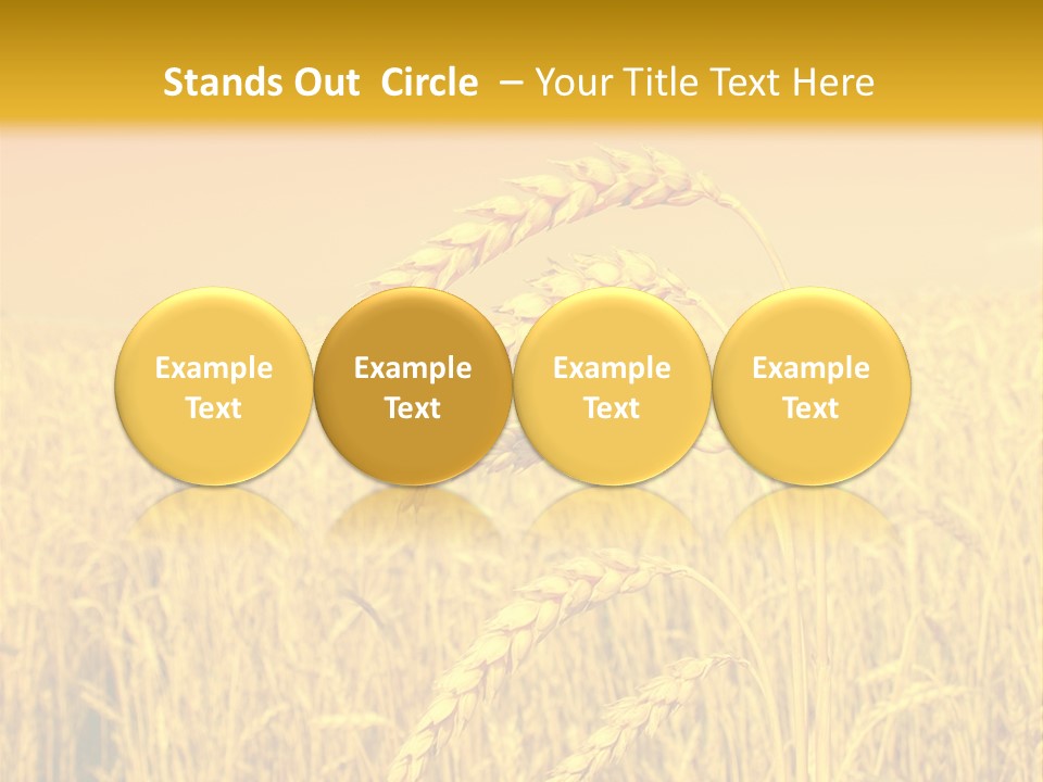 Agricultural Plant Rye PowerPoint Template