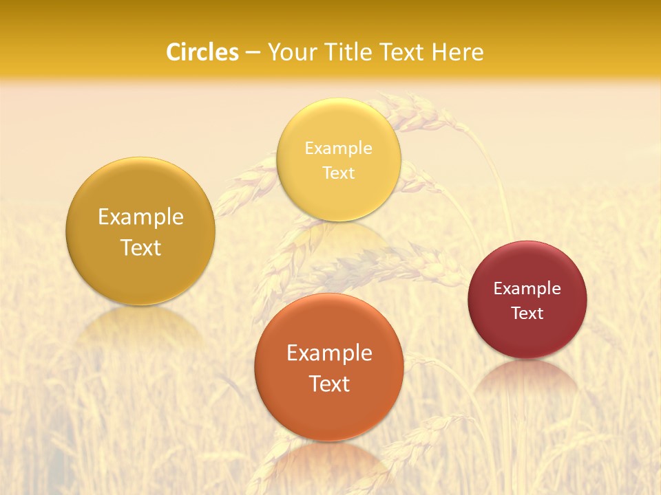 Agricultural Plant Rye PowerPoint Template