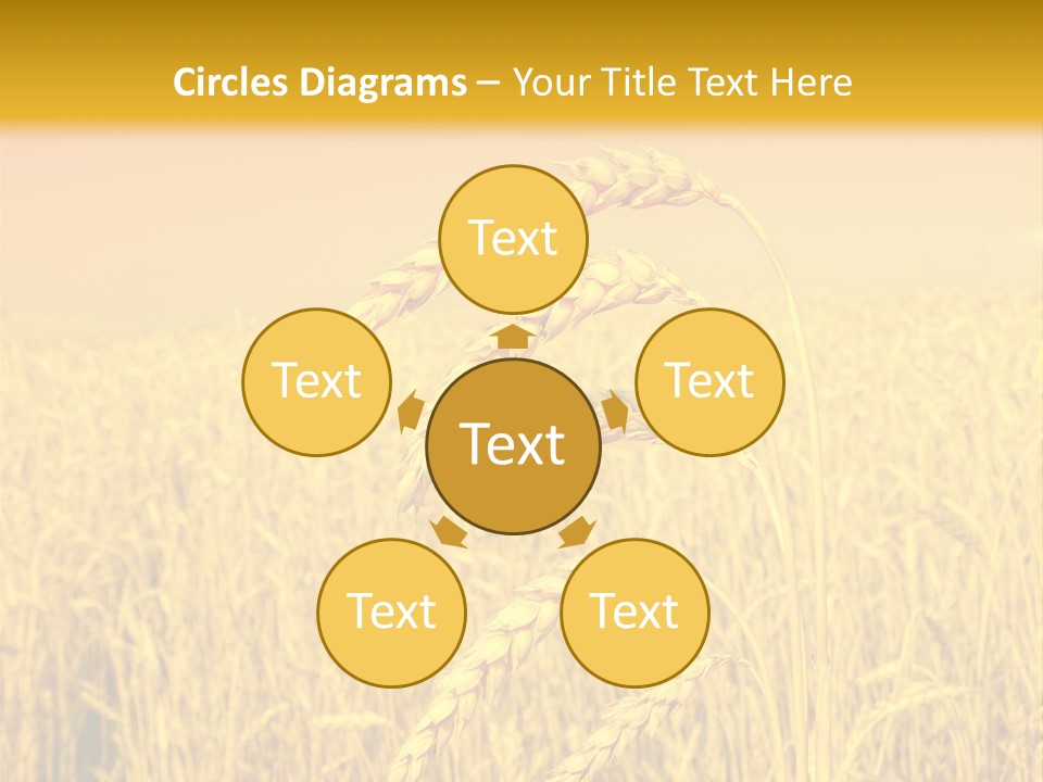 Agricultural Plant Rye PowerPoint Template