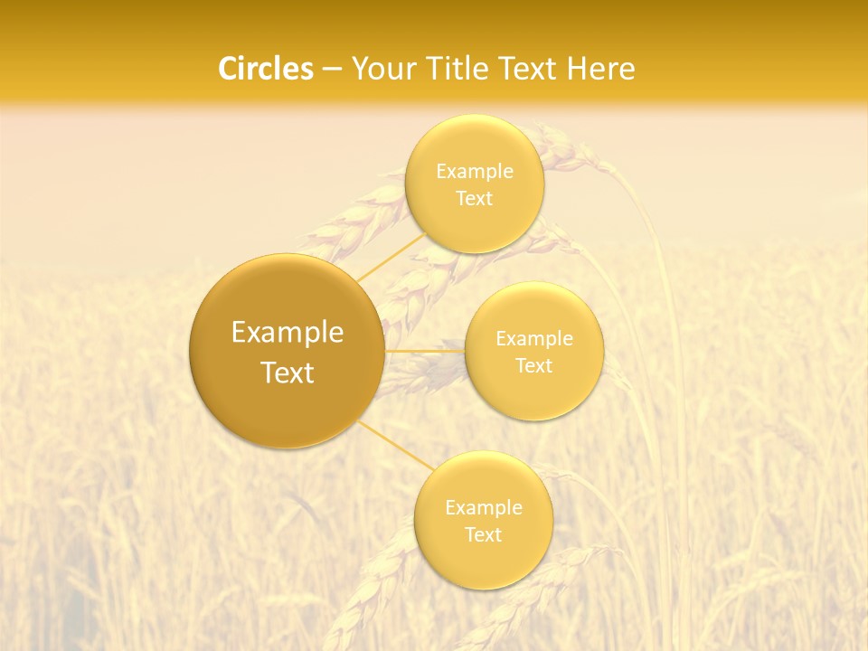 Agricultural Plant Rye PowerPoint Template