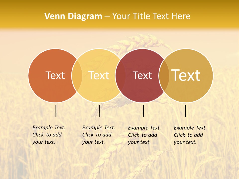 Agricultural Plant Rye PowerPoint Template