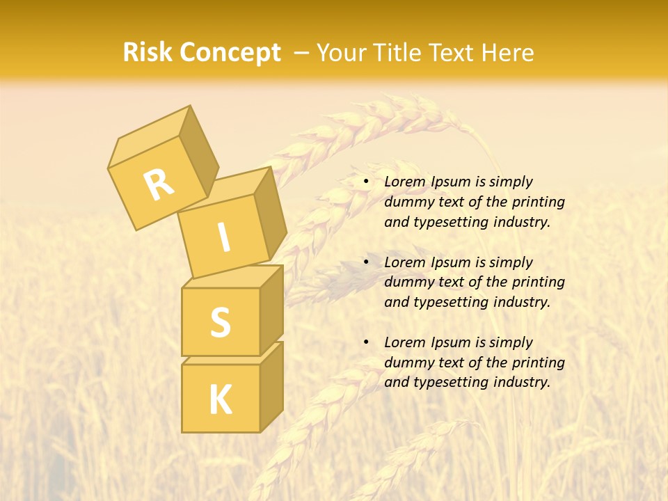 Agricultural Plant Rye PowerPoint Template