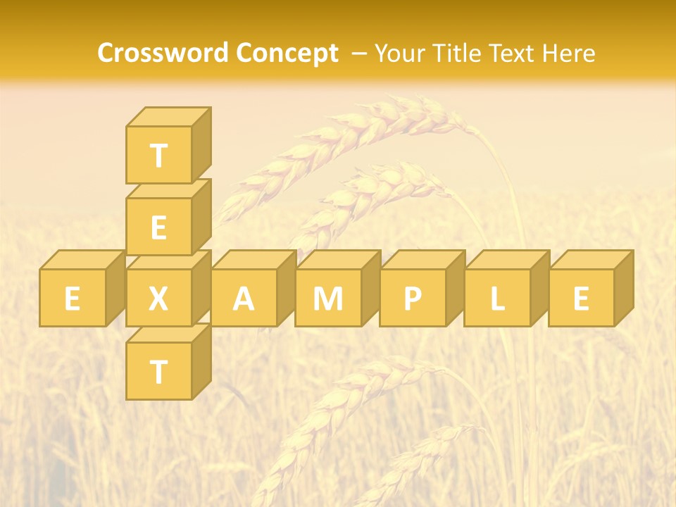 Agricultural Plant Rye PowerPoint Template