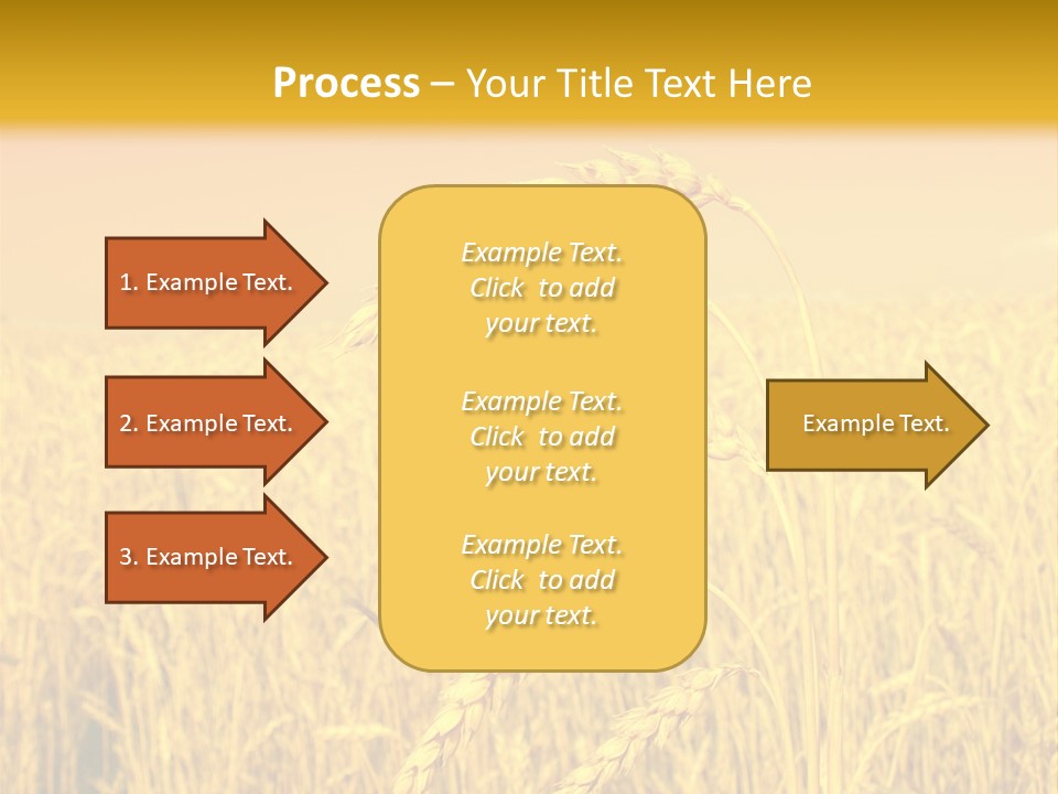 Agricultural Plant Rye PowerPoint Template