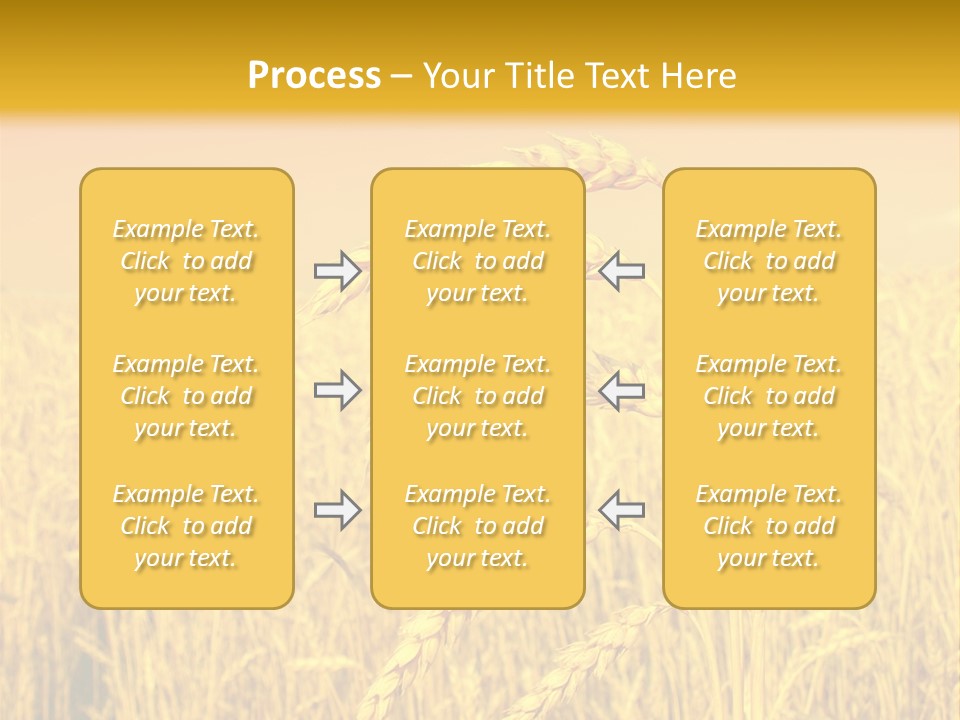 Agricultural Plant Rye PowerPoint Template