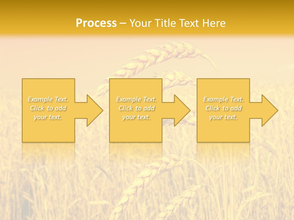 Agricultural Plant Rye PowerPoint Template