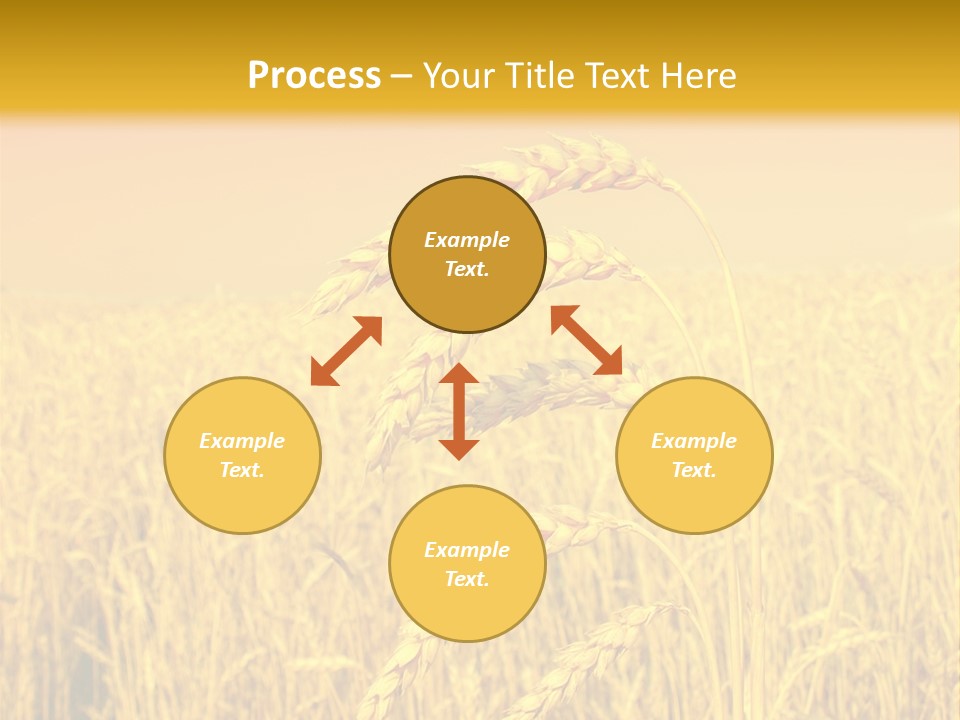 Agricultural Plant Rye PowerPoint Template