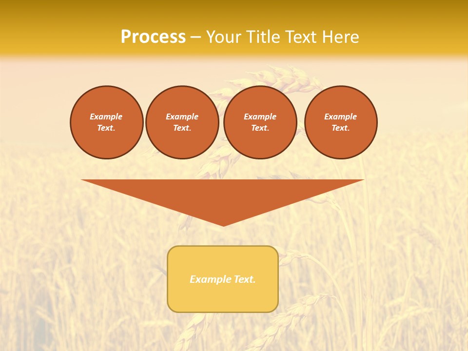 Agricultural Plant Rye PowerPoint Template