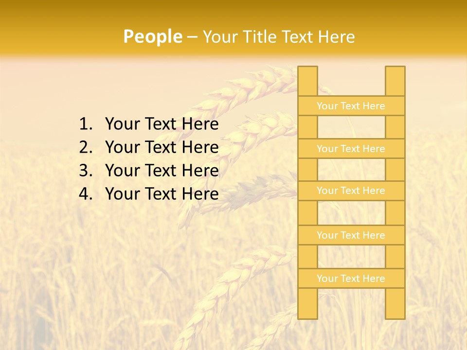 Agricultural Plant Rye PowerPoint Template