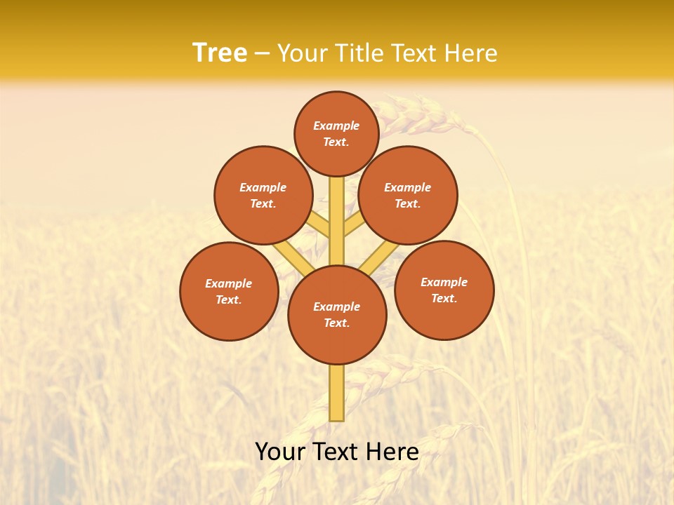 Agricultural Plant Rye PowerPoint Template