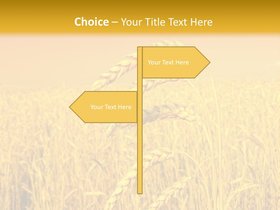 Agricultural Plant Rye PowerPoint Template