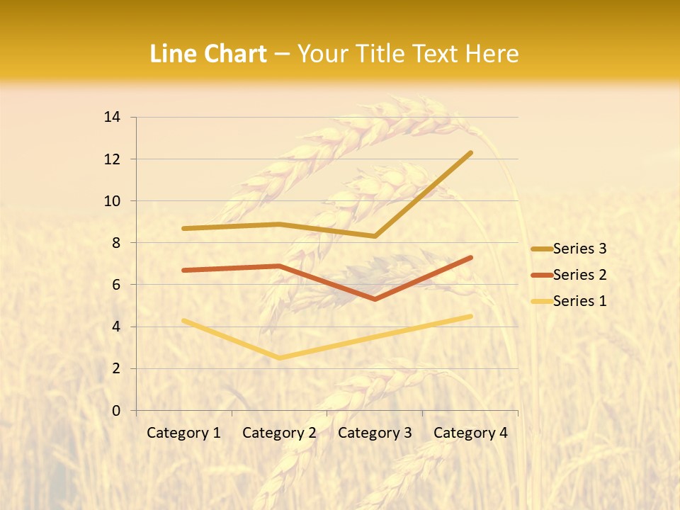 Agricultural Plant Rye PowerPoint Template