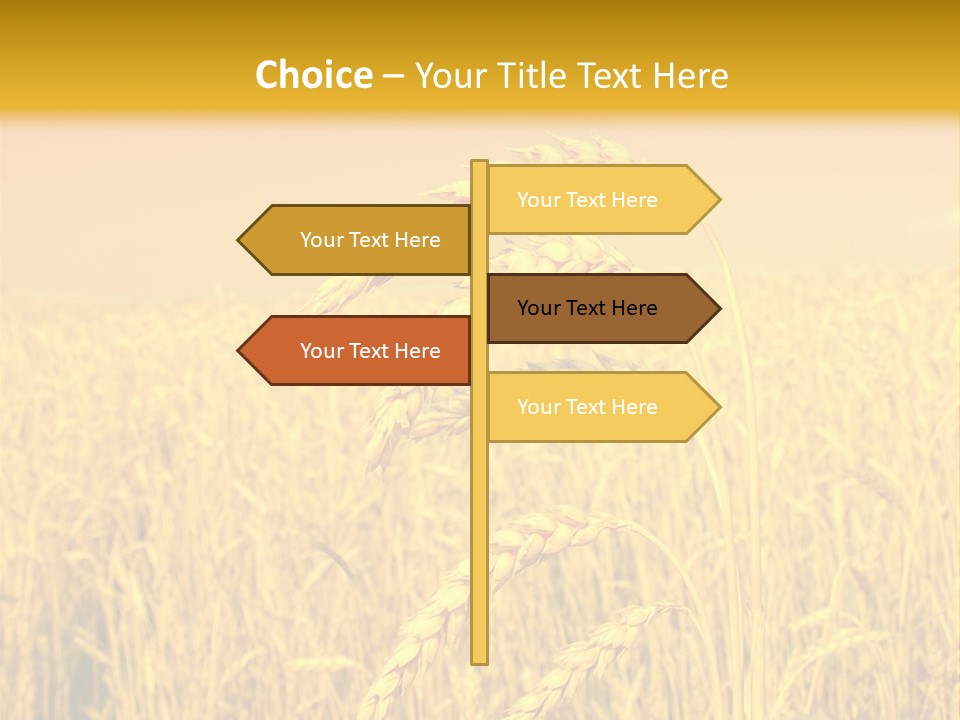 Agricultural Plant Rye PowerPoint Template
