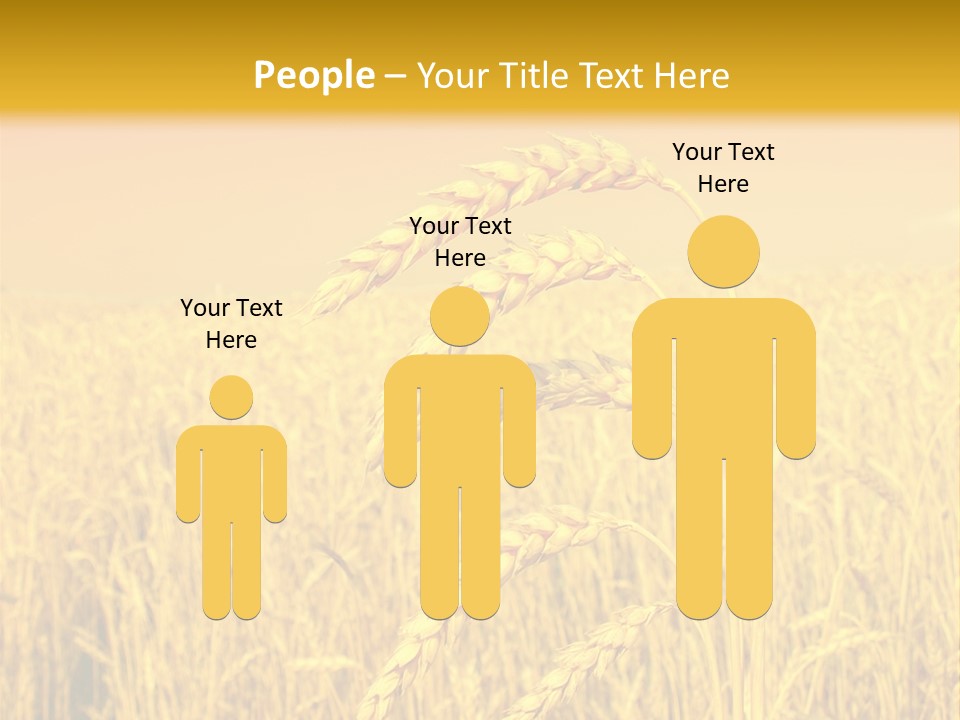 Agricultural Plant Rye PowerPoint Template