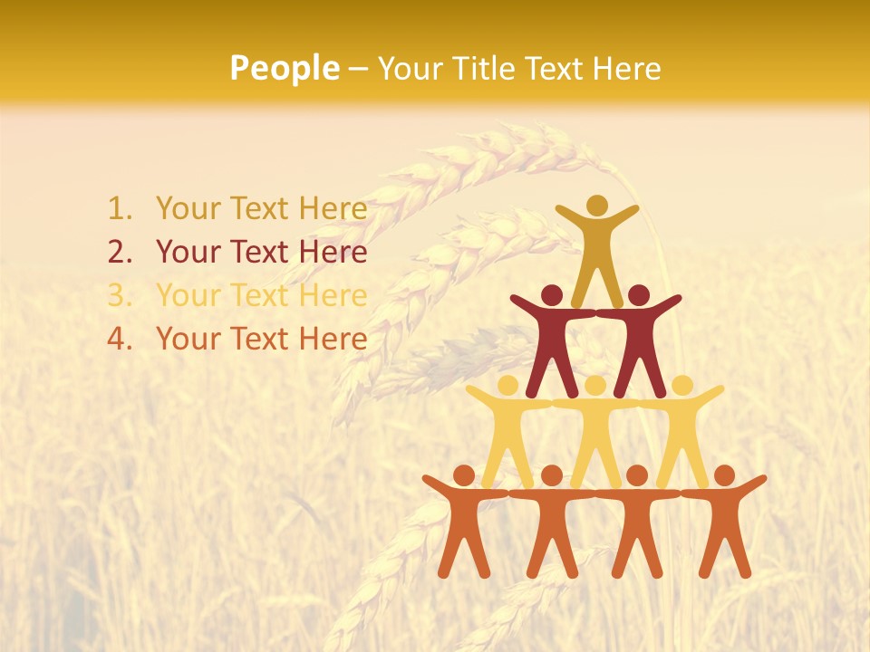 Agricultural Plant Rye PowerPoint Template