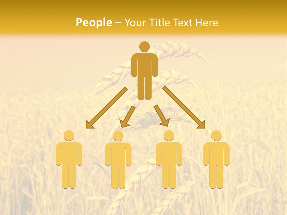 Agricultural Plant Rye PowerPoint Template