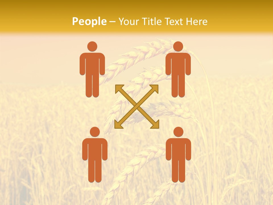 Agricultural Plant Rye PowerPoint Template