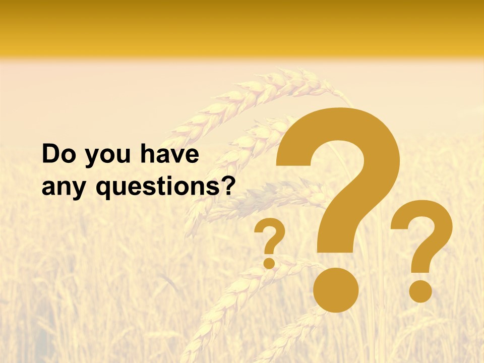 Agricultural Plant Rye PowerPoint Template