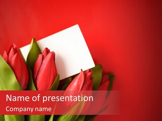 Blank Announcement Empty PowerPoint Template