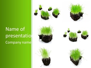 Island Grass PowerPoint Template