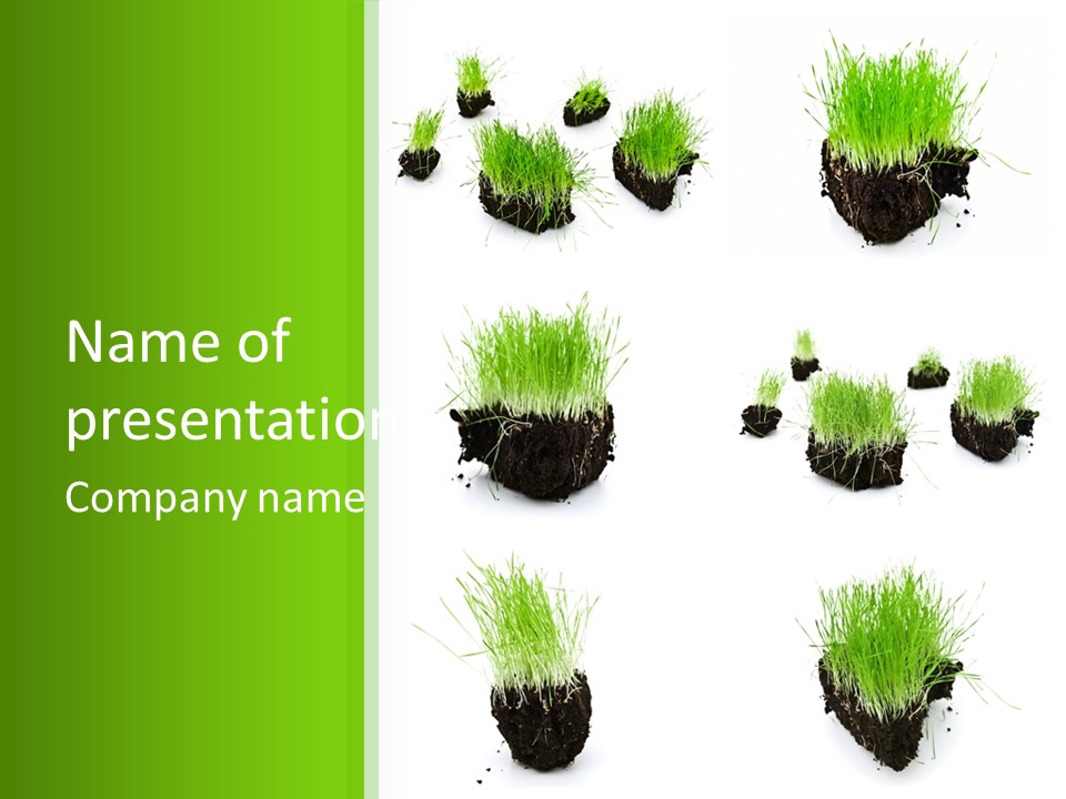 Island Grass PowerPoint Template