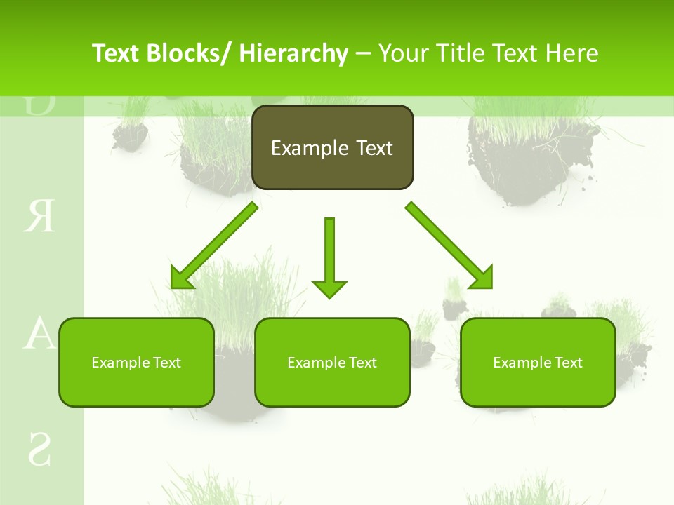 Island Grass PowerPoint Template
