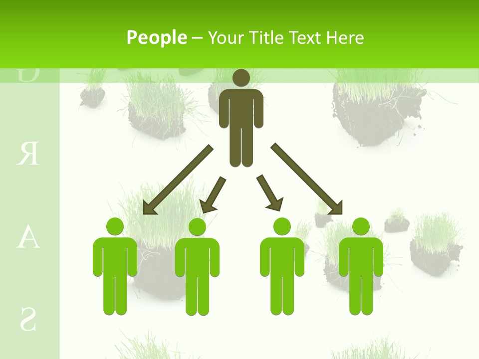 Island Grass PowerPoint Template