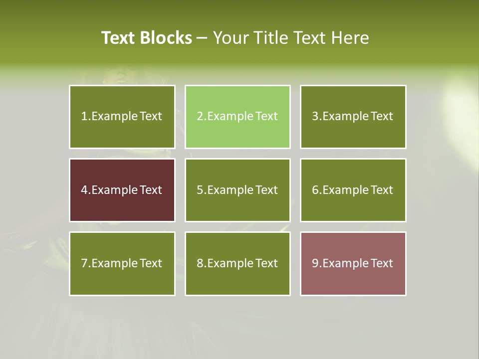 Yamakasi Catleap Q270 PowerPoint Template