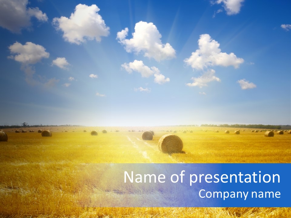 Rick Nature Wheat PowerPoint Template