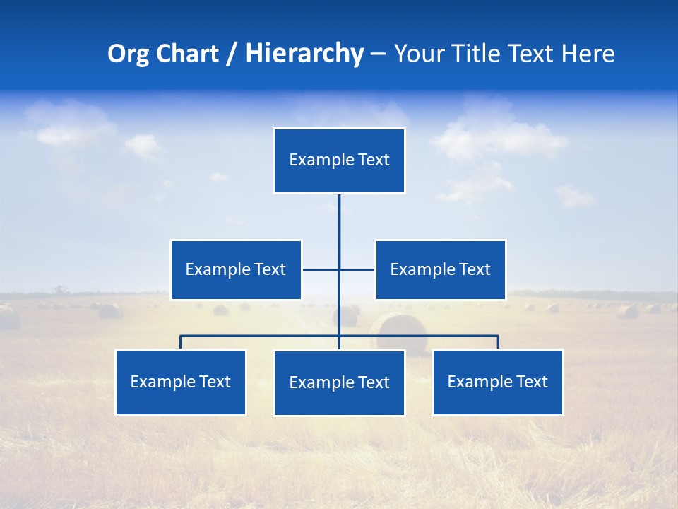Rick Nature Wheat PowerPoint Template