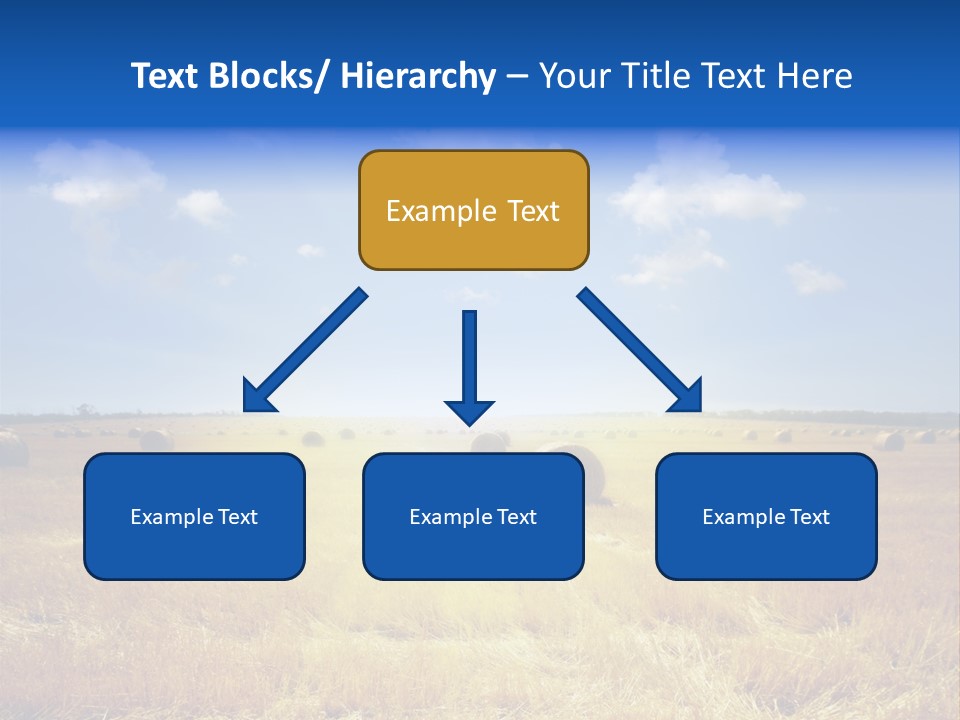 Rick Nature Wheat PowerPoint Template