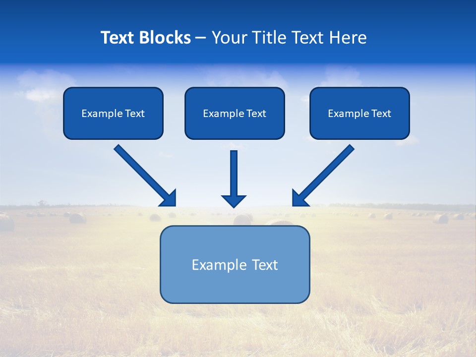 Rick Nature Wheat PowerPoint Template
