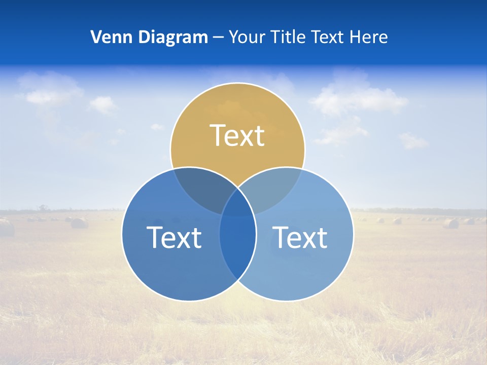 Rick Nature Wheat PowerPoint Template