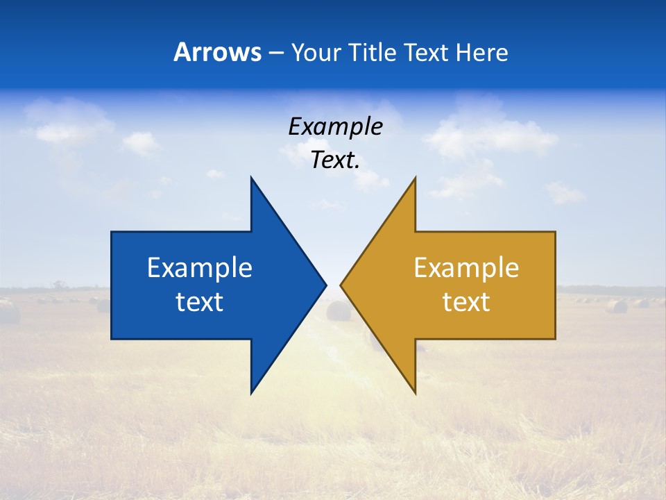 Rick Nature Wheat PowerPoint Template