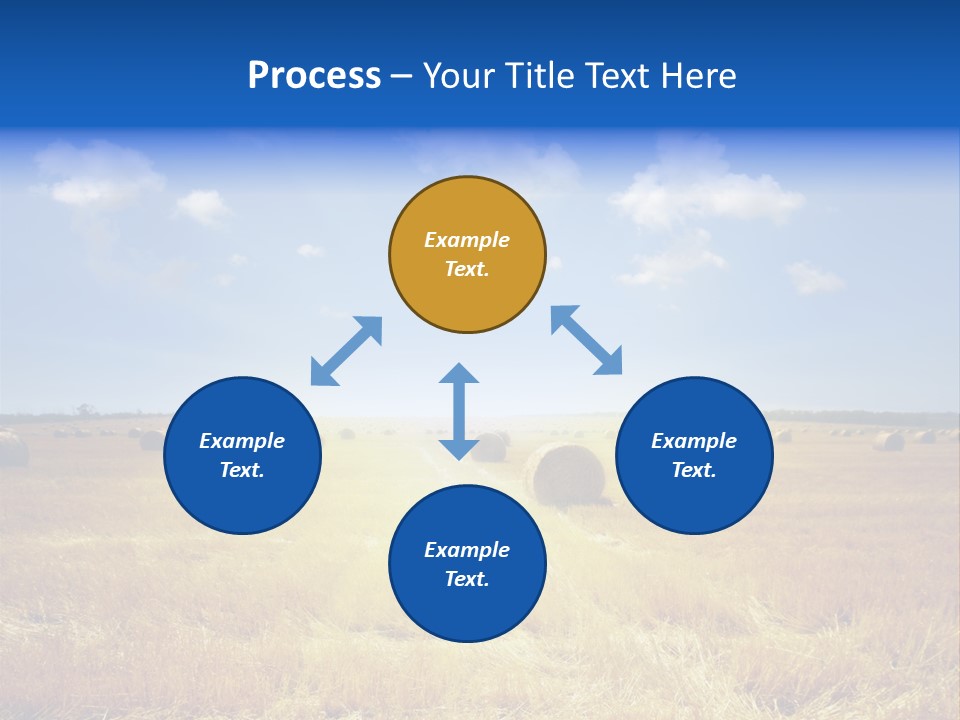 Rick Nature Wheat PowerPoint Template