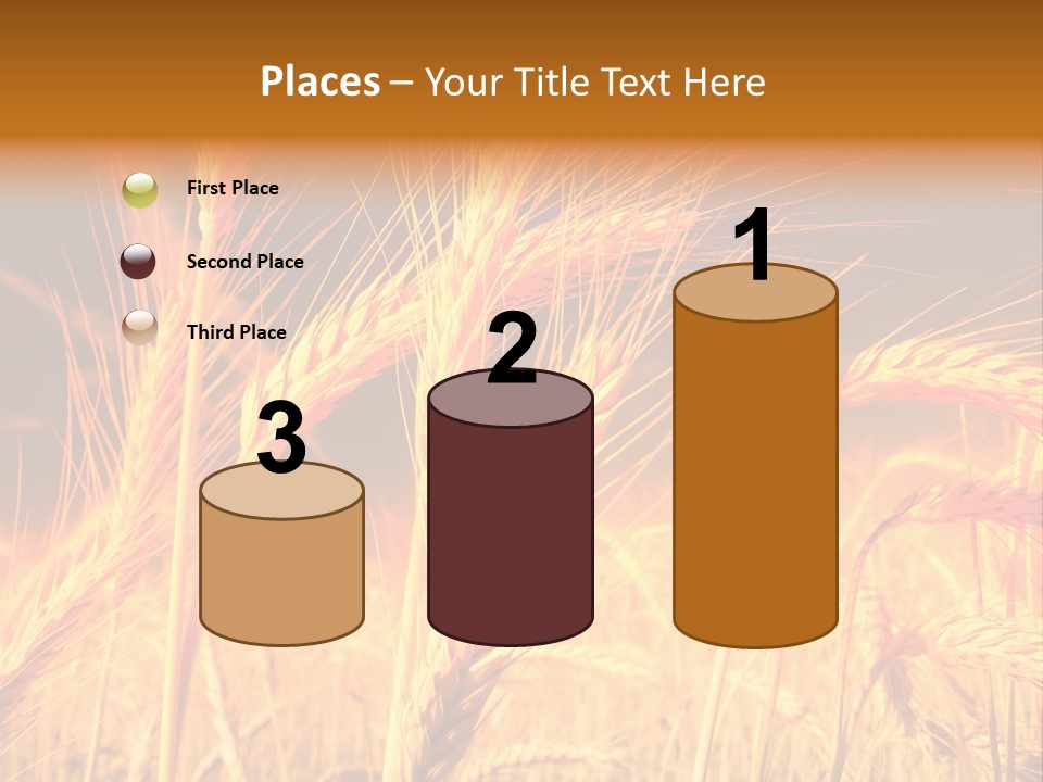 Golden Wheat PowerPoint Template