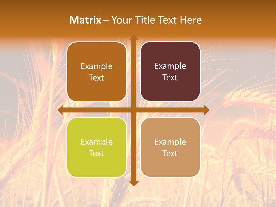 Golden Wheat PowerPoint Template