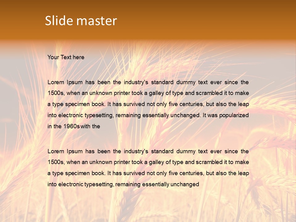 Golden Wheat PowerPoint Template