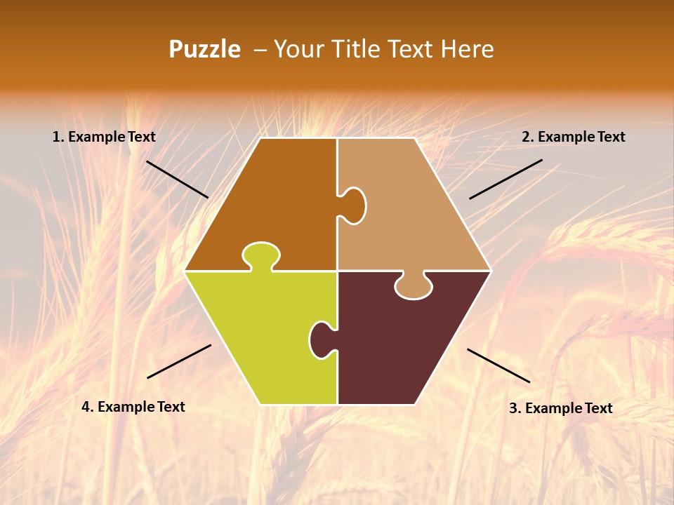 Golden Wheat PowerPoint Template