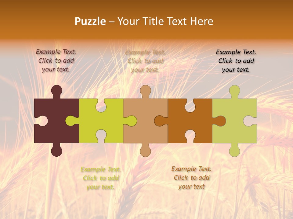 Golden Wheat PowerPoint Template