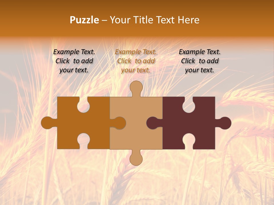 Golden Wheat PowerPoint Template