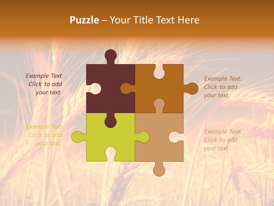 Golden Wheat PowerPoint Template