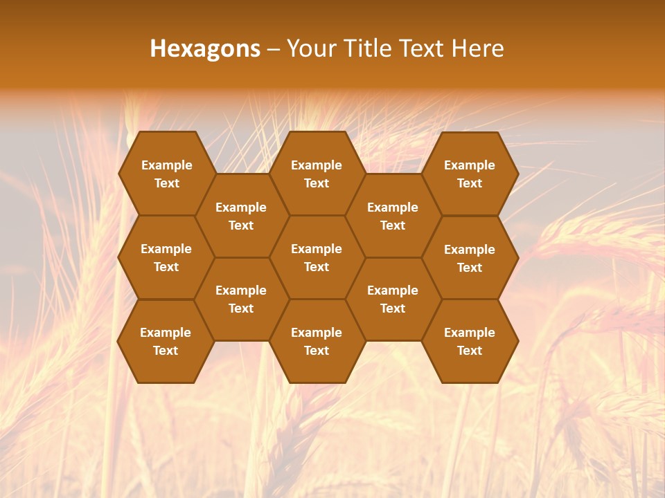 Golden Wheat PowerPoint Template