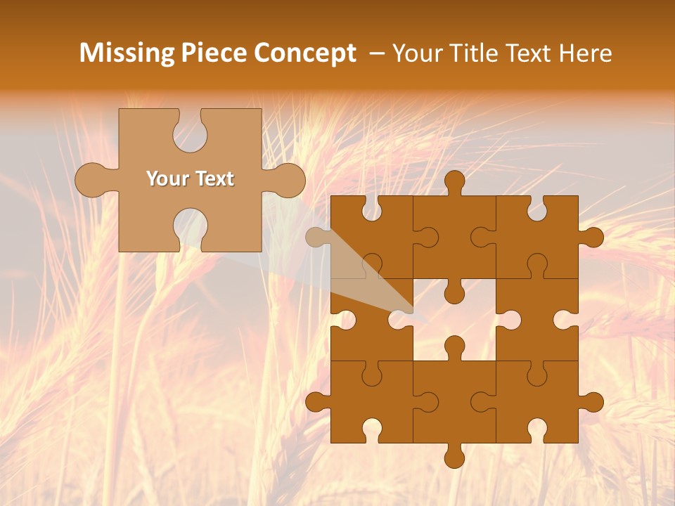 Golden Wheat PowerPoint Template