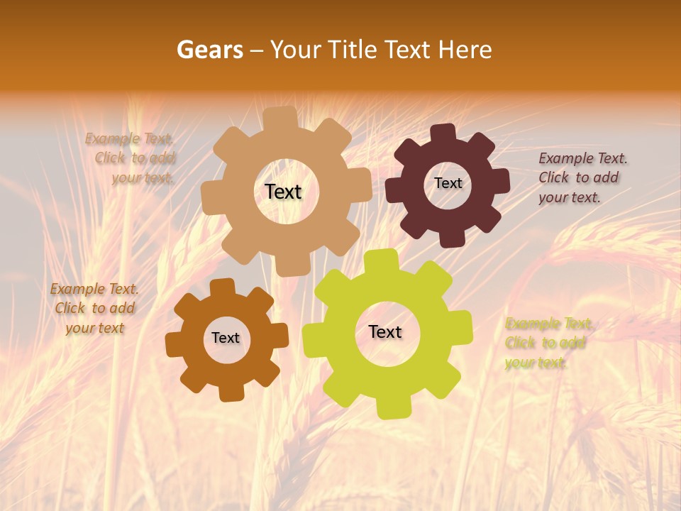 Golden Wheat PowerPoint Template