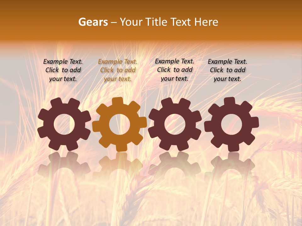 Golden Wheat PowerPoint Template