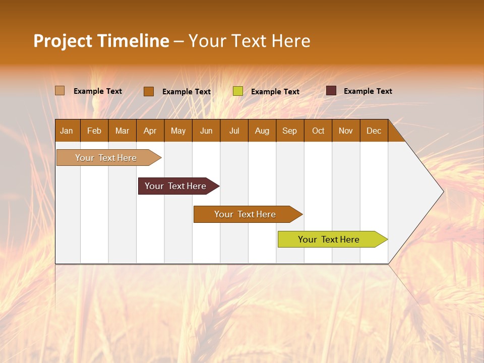 Golden Wheat PowerPoint Template