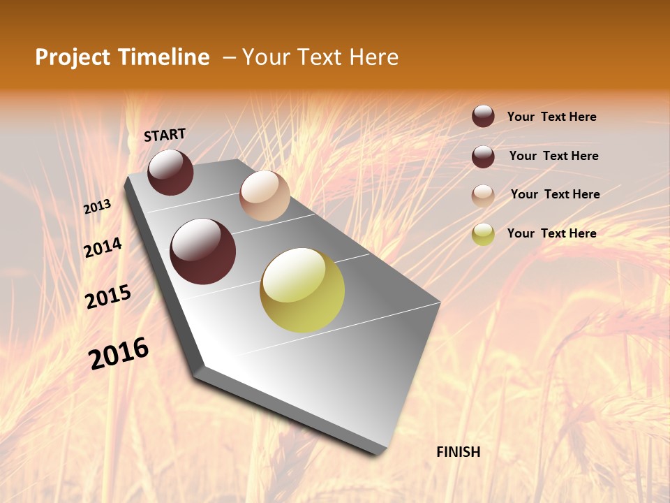 Golden Wheat PowerPoint Template