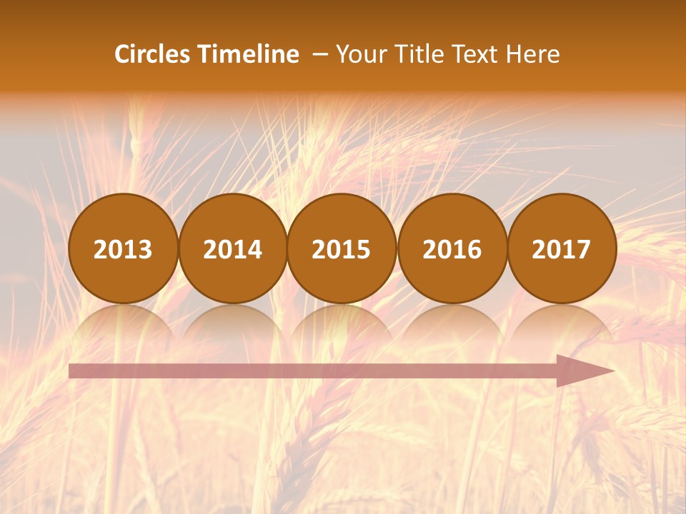 Golden Wheat PowerPoint Template