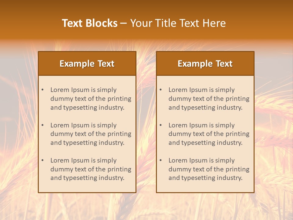 Golden Wheat PowerPoint Template